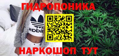 гидра Лесосибирск